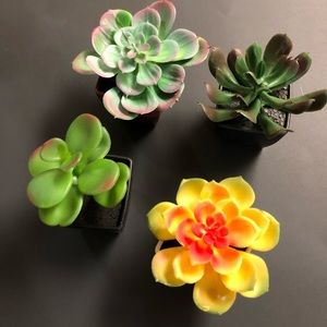 NEW FAUX SUCCULENTS (set of 4)